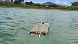 2025 DOMINATOR Mono ARTR RC Boat - Carbon/Kevlar
