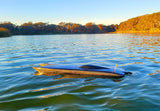 THE BEAST Twin Cat Hull and Hardware - Carbon Fiber