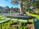 THE BEAST Twin Cat RTR RC Boat - Carbon Fiber