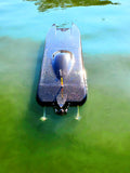 THE BEAST Twin Cat RTR RC Boat - Carbon Fiber
