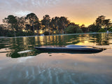THE BEAST Twin Cat RTR RC Boat - Carbon Fiber