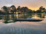 THE BEAST Twin Cat Hull and Hardware - Carbon Fiber