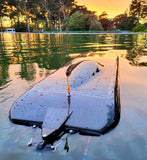 THE BEAST Twin Cat RTR RC Boat - Carbon Fiber