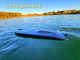 THE BEAST Twin Cat RTR RC Boat - Carbon Fiber