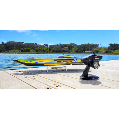 RC Boat Stand for Oxidean Marine Animal and Other Catamarans